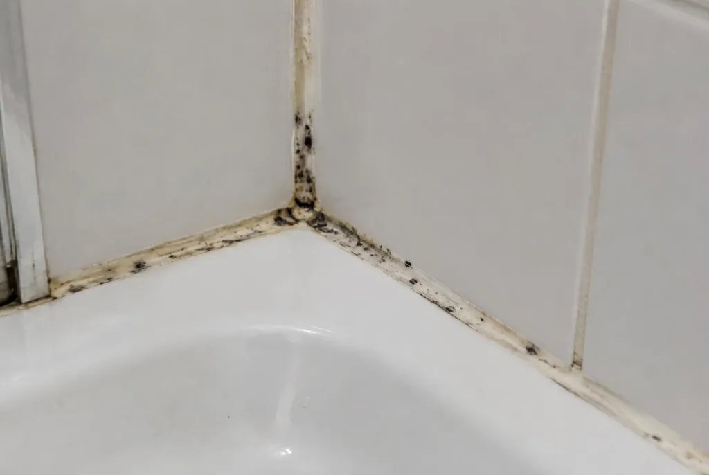 Kitbedrijf Veghel – beschimmelde kitranden